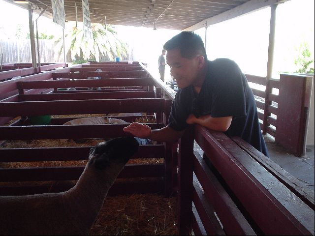 "My Precious"
Settlers of Catan, anyone?