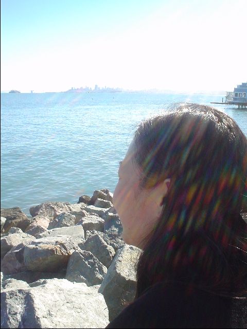 DSC01409.JPG
<No Caption>