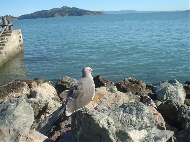 DSC01410.JPG
<No Caption>