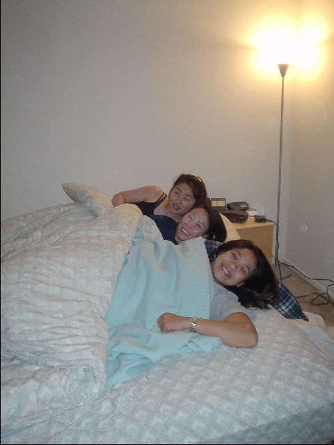 DSC00305-R.JPG
<No Caption>