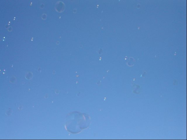 DSC00775.JPG
<No Caption>