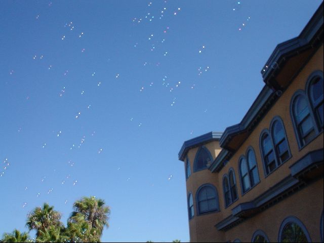 DSC00776.JPG
<No Caption>