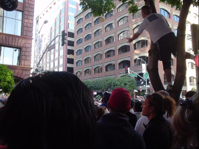 DSC00314.JPG
<No Caption>