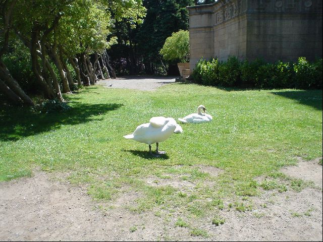 DSC00422.JPG
<No Caption>