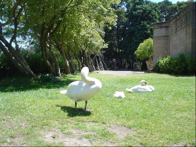 DSC00423.JPG
<No Caption>