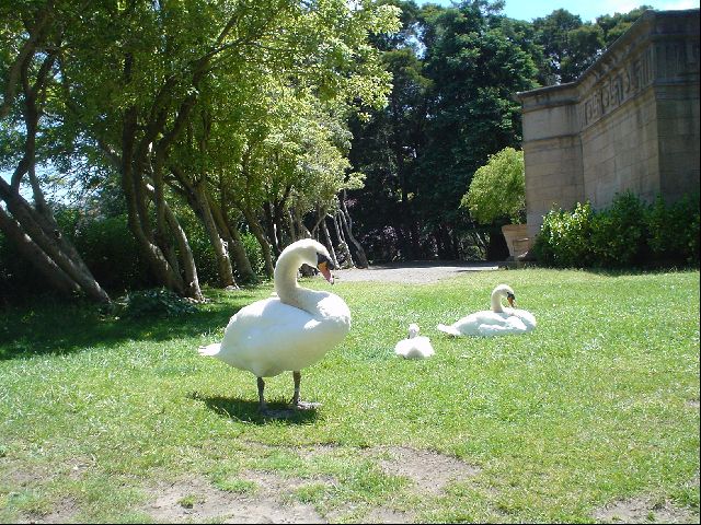 DSC00424.JPG
<No Caption>