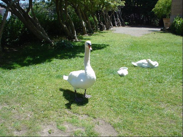 DSC00425.JPG
<No Caption>