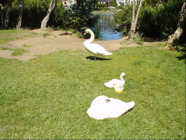 DSC00426.JPG
<No Caption>