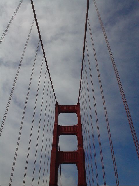 DSC00429-R.JPG
<No Caption>