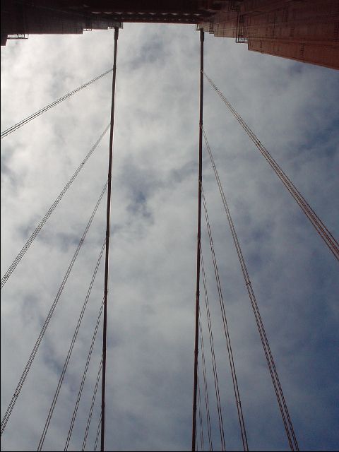 DSC00432-R.JPG
<No Caption>