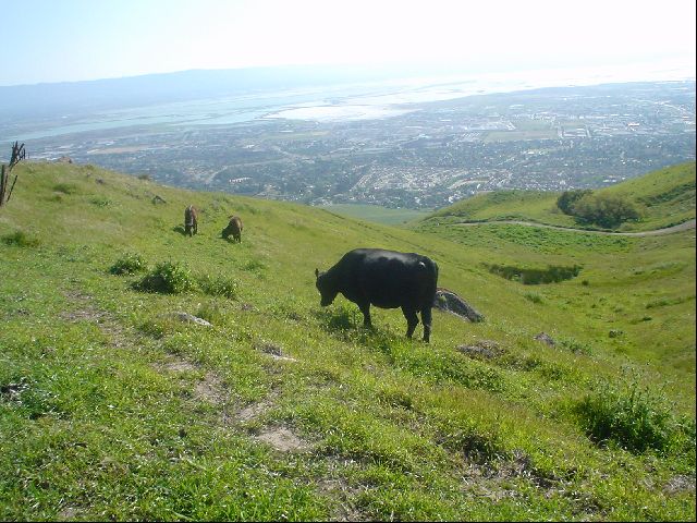 DSC00294.JPG
<No Caption>