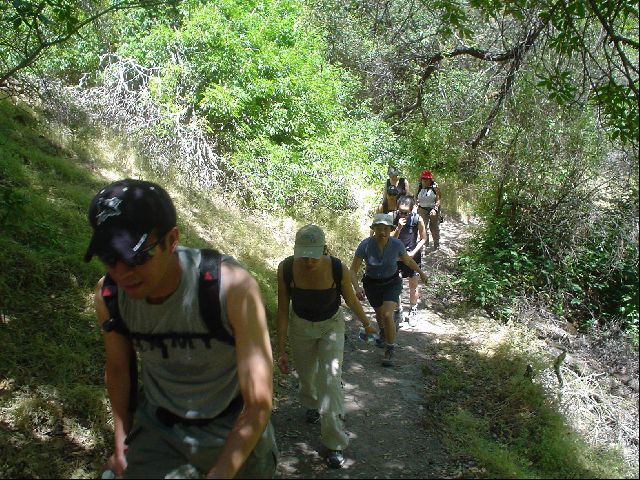 DSC00347.JPG
<No Caption>