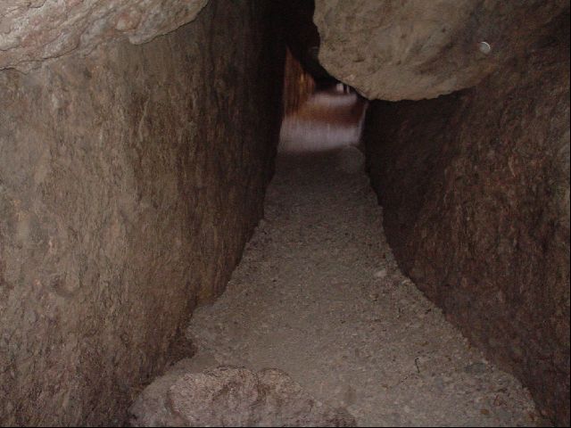 DSC00351.JPG
<No Caption>