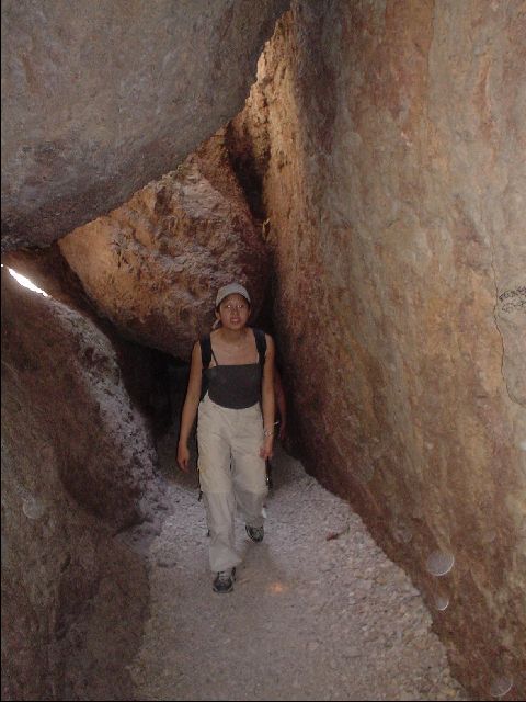 DSC00352-R.JPG
<No Caption>