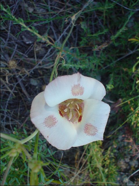 DSC00370-R.JPG
<No Caption>