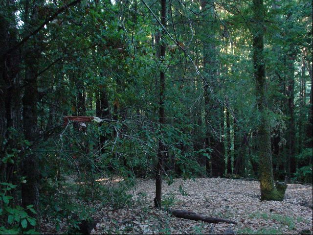 DSC01076.JPG
<No Caption>