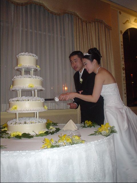 DSC00229-R.JPG
<No Caption>