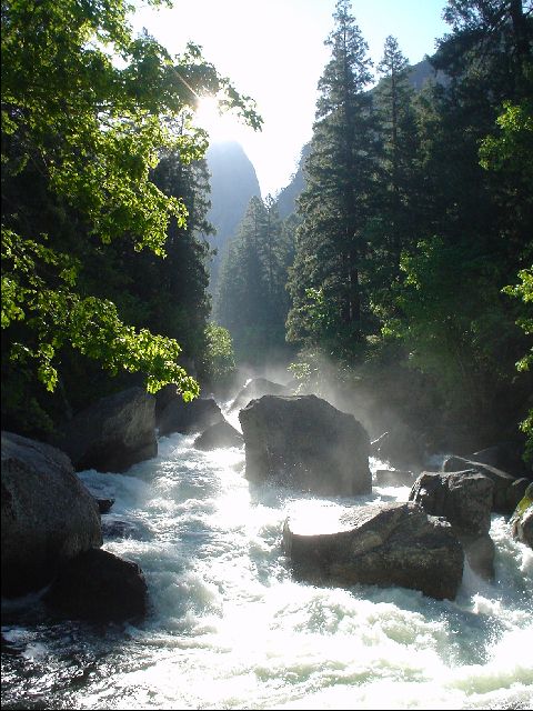 DSC00440-R.JPG
<No Caption>