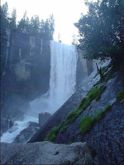 DSC00443-R.JPG
<No Caption>