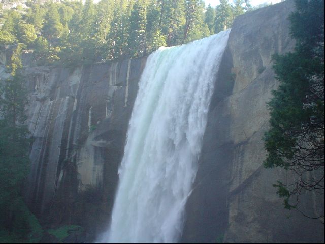 DSC00446.JPG
<No Caption>