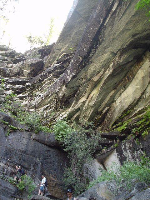 DSC00451-R.JPG
<No Caption>