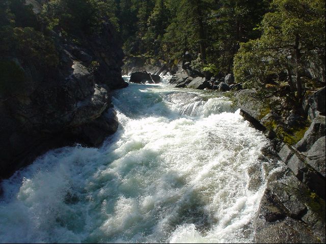 DSC00457.JPG
<No Caption>