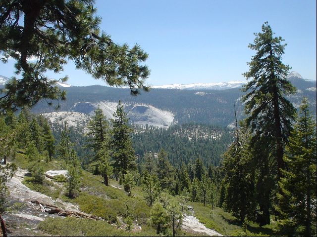 DSC00461.JPG
<No Caption>