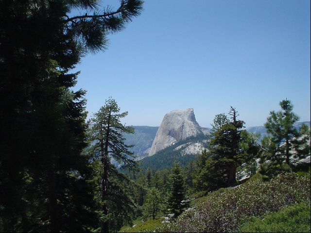 DSC00462.JPG
<No Caption>