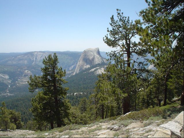 DSC00465.JPG
<No Caption>