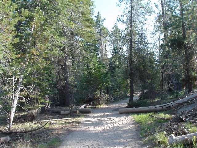 DSC00482.JPG
<No Caption>