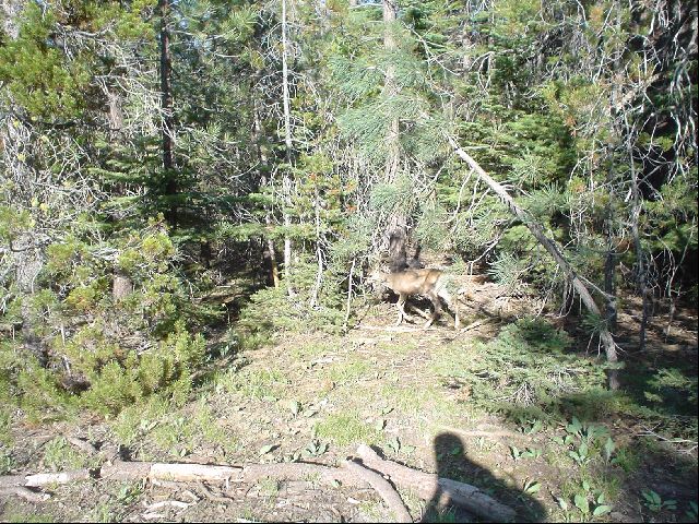 DSC00484.JPG
<No Caption>