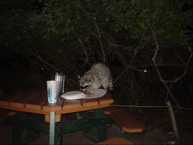 DSC00493.JPG
<No Caption>