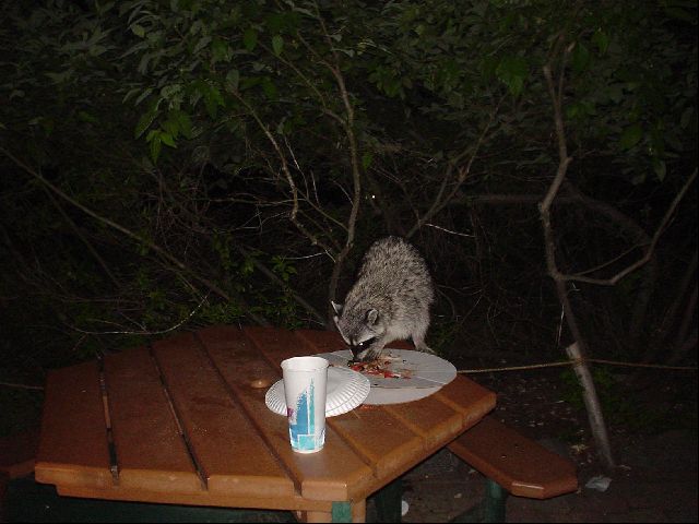 DSC00494.JPG
<No Caption>