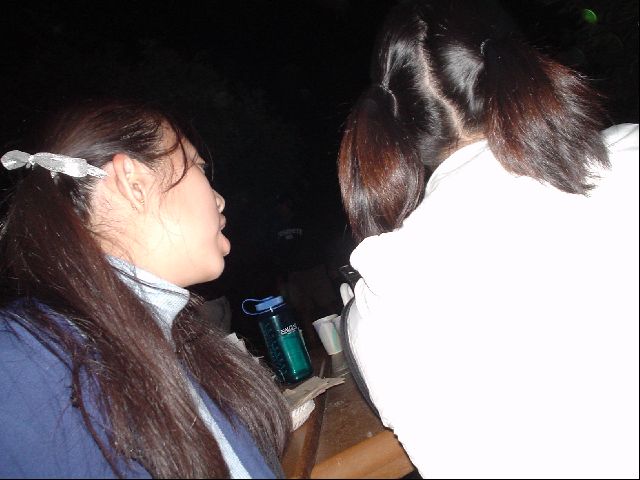 DSC00495.JPG
<No Caption>