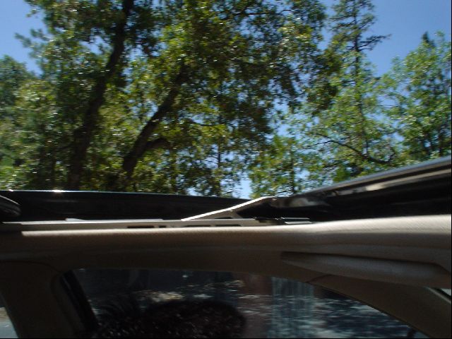 DSC00510.JPG
<No Caption>