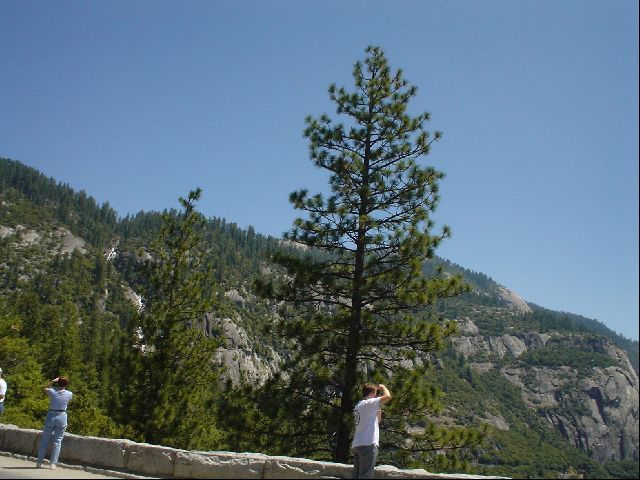 DSC00511.JPG
<No Caption>