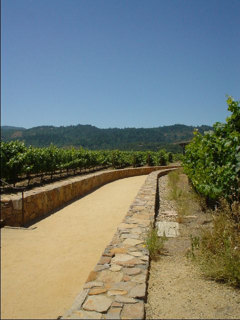 DSC00528-R.JPG
<No Caption>