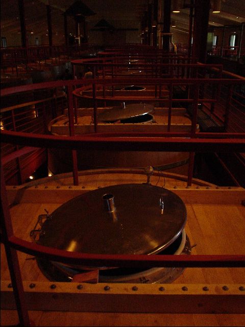 DSC00532-R.JPG
<No Caption>