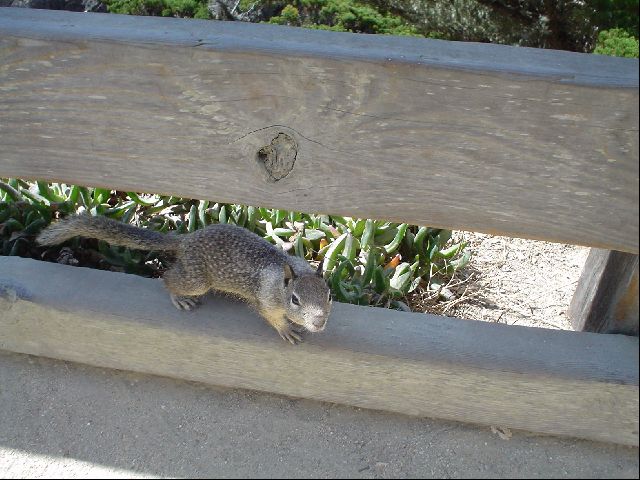 DSC00540.JPG
<No Caption>