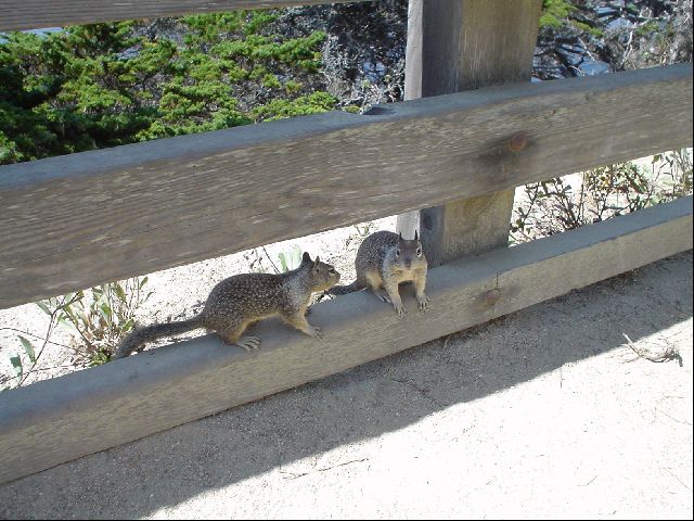 DSC00543.JPG
<No Caption>