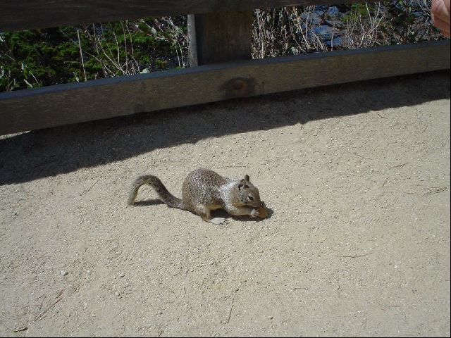 DSC00544.JPG
<No Caption>