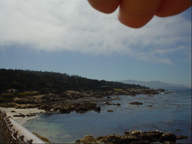 DSC00546.JPG
<No Caption>