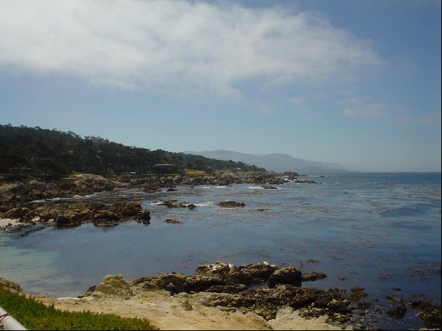 DSC00548.JPG
<No Caption>