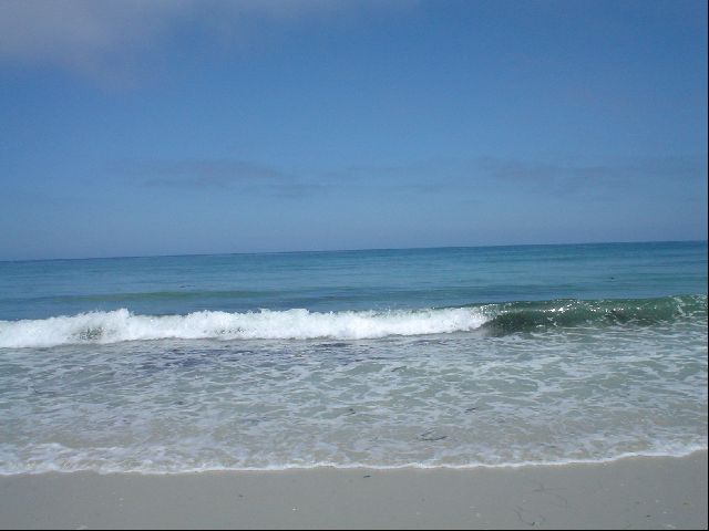 DSC00549.JPG
<No Caption>