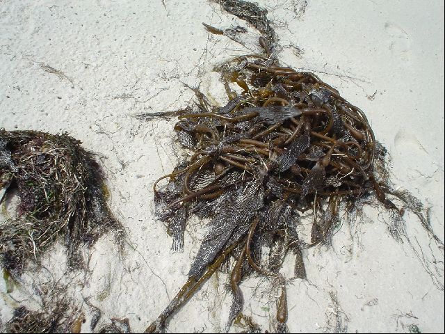 DSC00550.JPG
<No Caption>