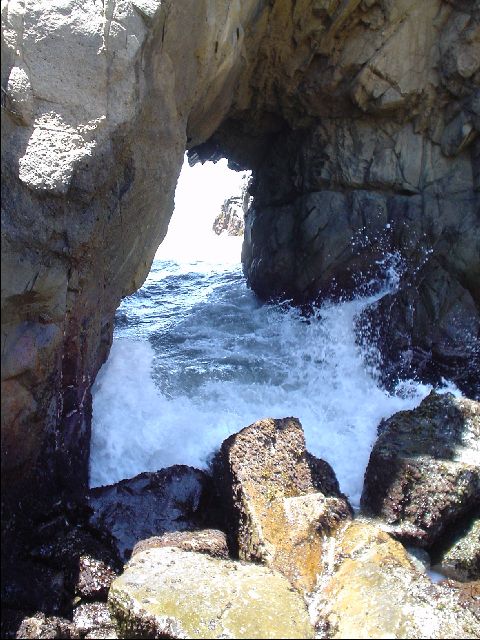 DSC00551-R.JPG
<No Caption>