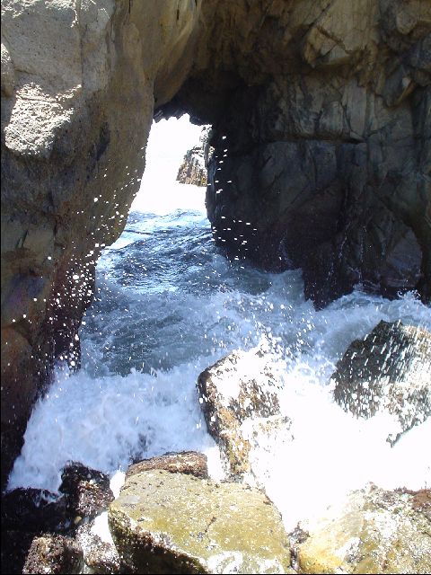 DSC00552-R.JPG
<No Caption>