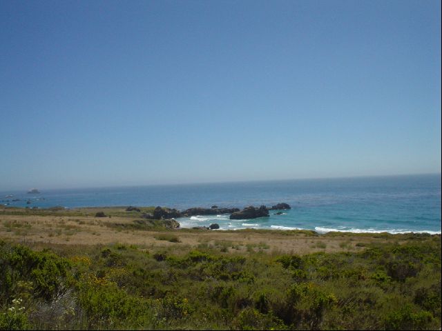 DSC00556.JPG
<No Caption>