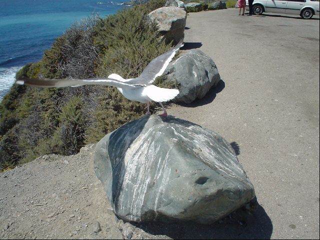 DSC00561.JPG
<No Caption>