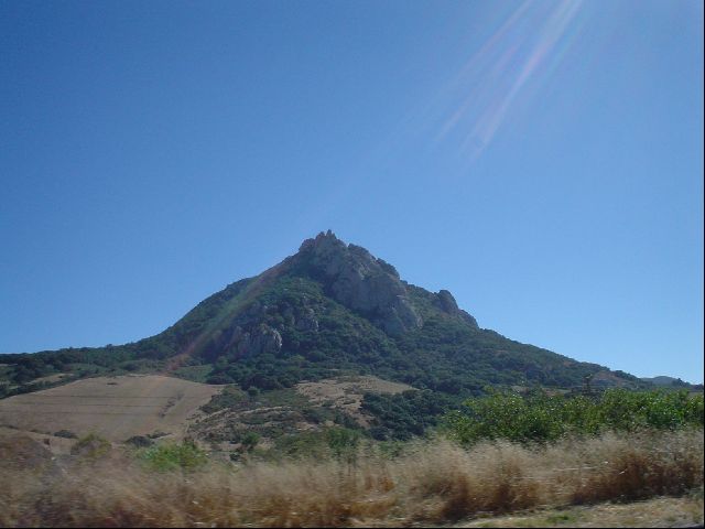 DSC00563.JPG
<No Caption>